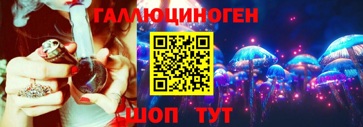 Псилоцибиновые грибы Psilocybe  Вход с VPN  Троицк 